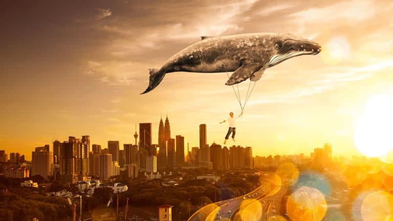 Importance of work-life balance – 8 secrets to make it possible for you