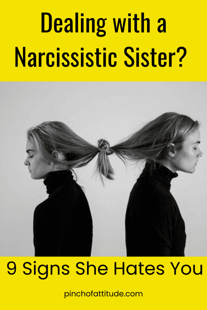 Pinterest - Pin with title "Dealing with a Narcissistic Sister? 9 Signs She Hates You" showing two women with their hair tied together, both facing away from each other, against a gray background with a bright yellow accent.