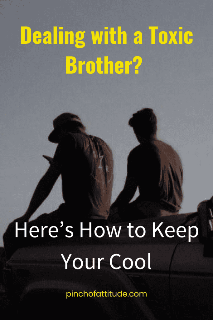 Pinterest - Pin with title "Dealing with a Toxic Brother? Here's How to Keep Your Cool" showing two individuals sitting on the back of a vehicle in silhouette against a darkening sky.