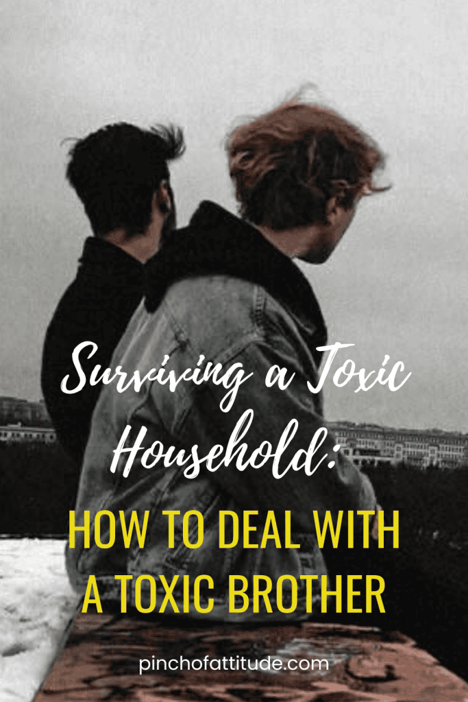 Pinterest - Pin with title "Surviving a Toxic Household: How to Deal with a Toxic Brother" showing two individuals sitting on a rooftop, both facing away from the camera against a cloudy sky.