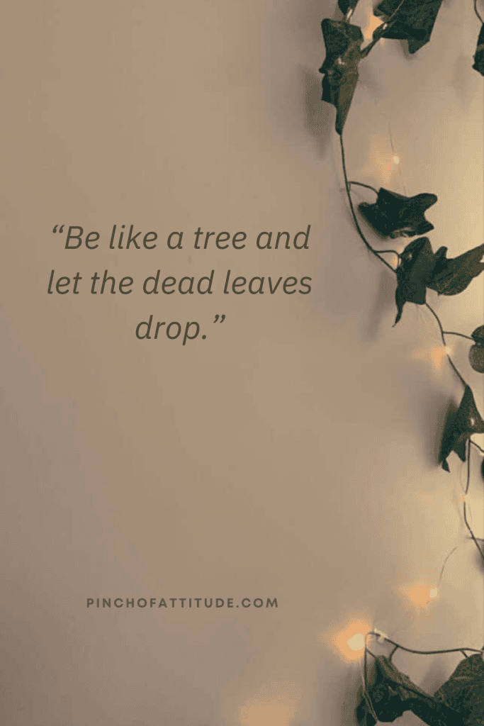 Pinterest - Pin with a quote that says "Be like a tree and let the dead leaves drop." showing a wall with vines laced with fairy lights.