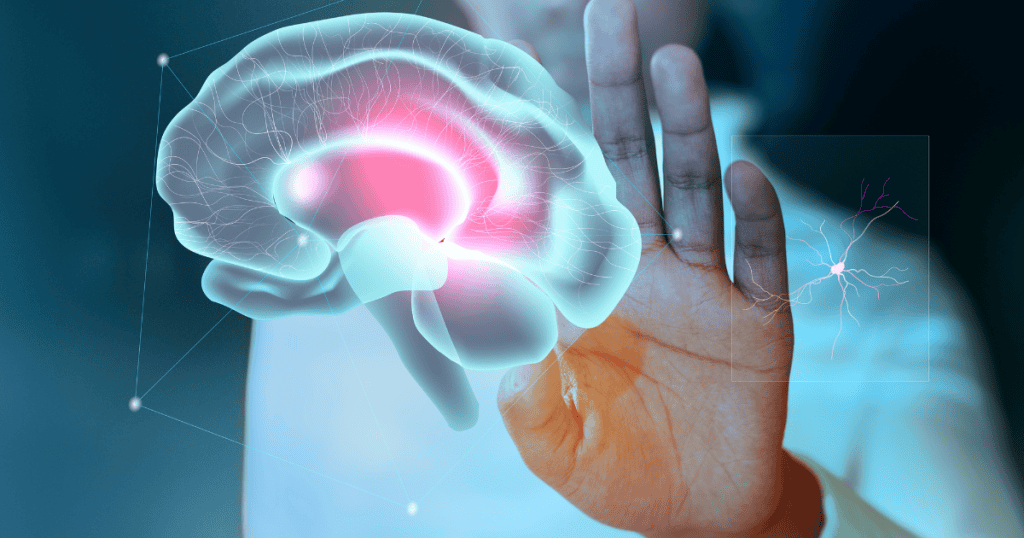 A futuristic illustration of a glowing human brain projected in front of a hand, with highlighted red areas symbolizing neurological shifts. The design conveys how narcissistic rage is fueled by unsettling brain changes that make it unpredictable and dangerous.