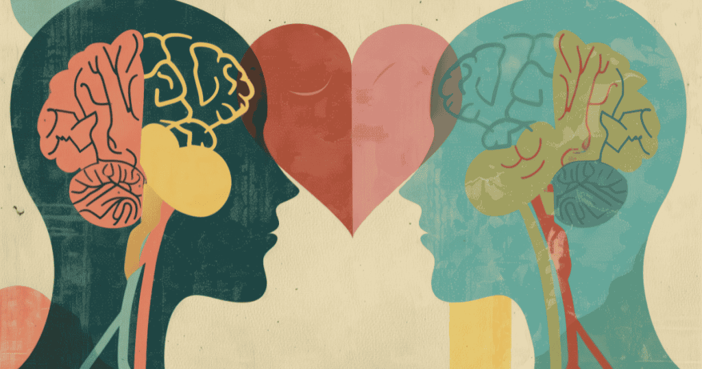 Two illustrated human profiles face each other with exposed brain anatomy and a shared heart between them, symbolizing how empathy bridges emotional and cognitive connection.