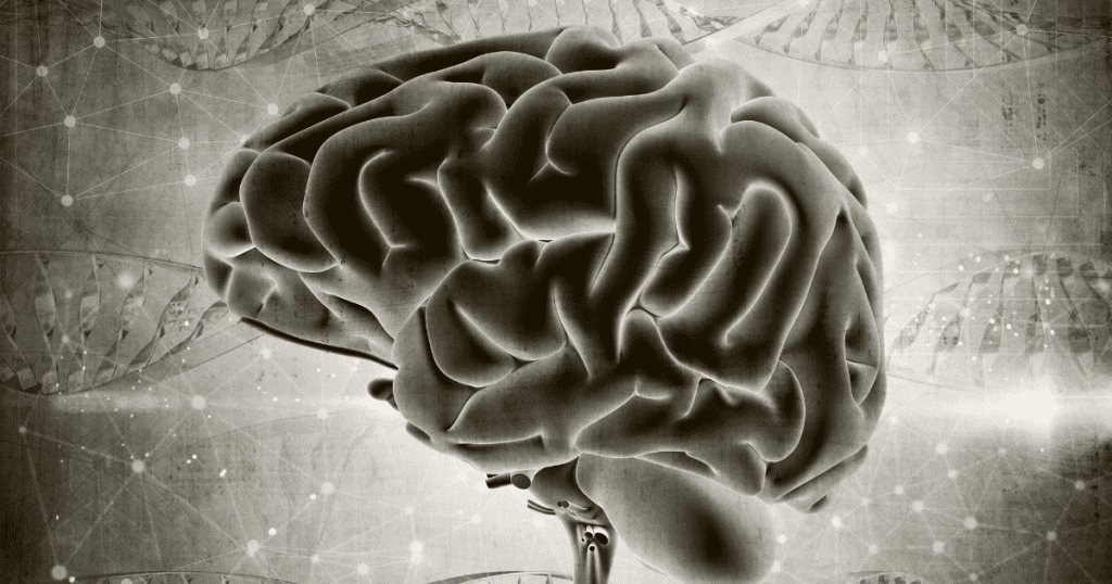 A detailed 3D model of a human brain is set against a background of neural networks and DNA strands, illustrating the physical architecture left behind after a deep emotional severance.